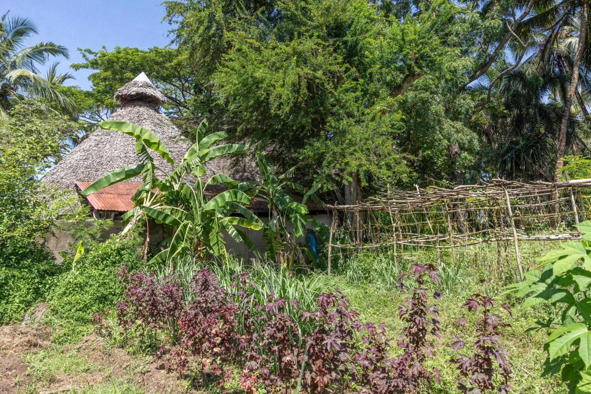 Mbweni Ruins & Gardens Previously Jungle Paradise Zanzibar Extérieur photo