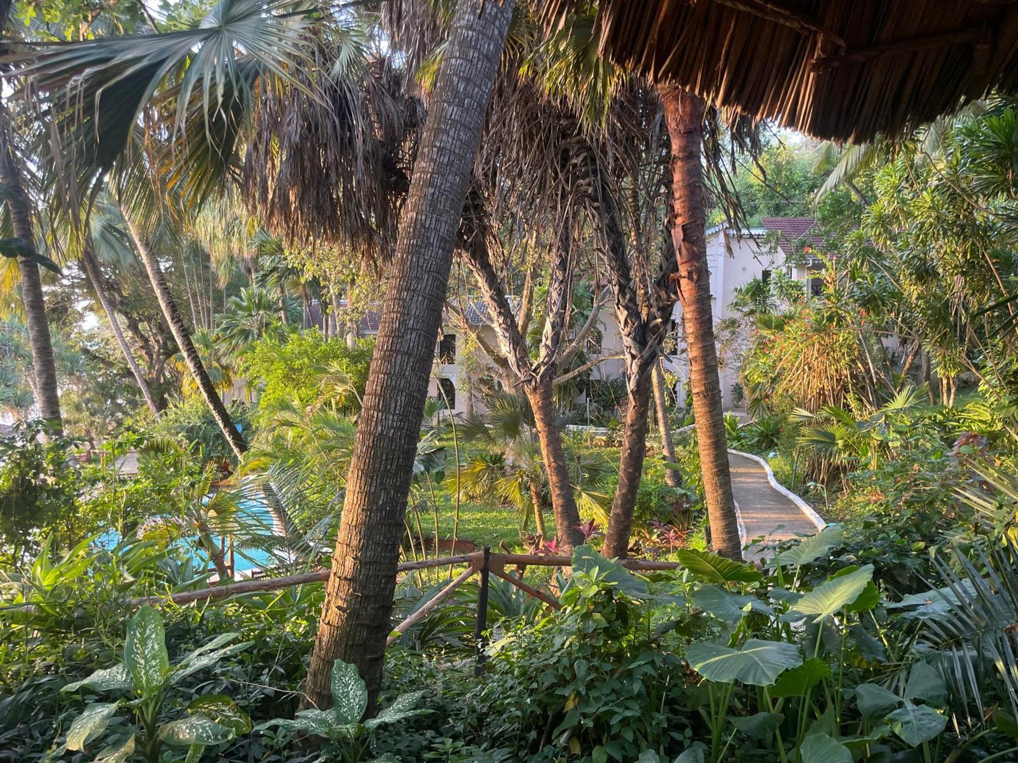 Mbweni Ruins & Gardens Previously Jungle Paradise Zanzibar Extérieur photo