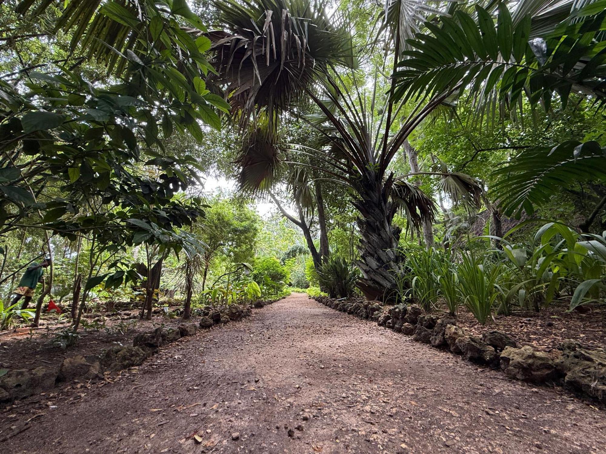 Mbweni Ruins & Gardens Previously Jungle Paradise Zanzibar Extérieur photo